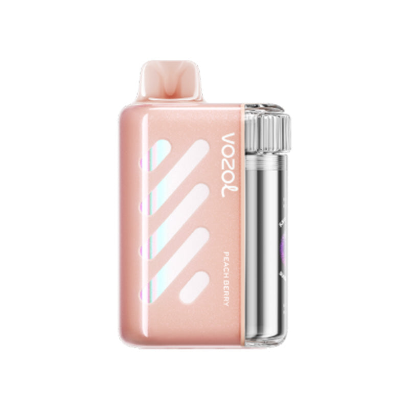 VOZOL Vista 40000 Puffs Disposable Vape