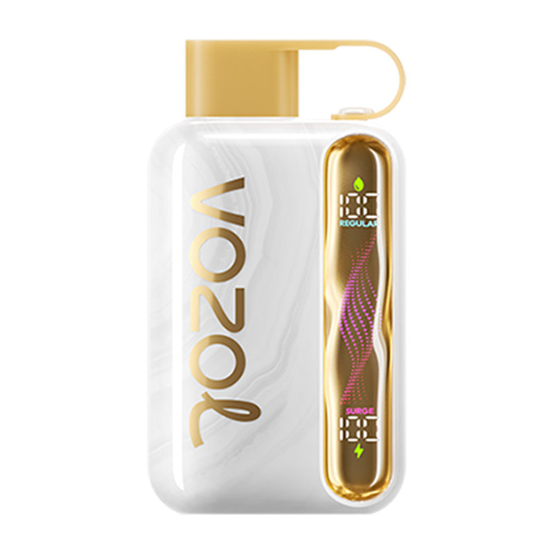 VOZOL Star 40000 Puffs Disposable Vape