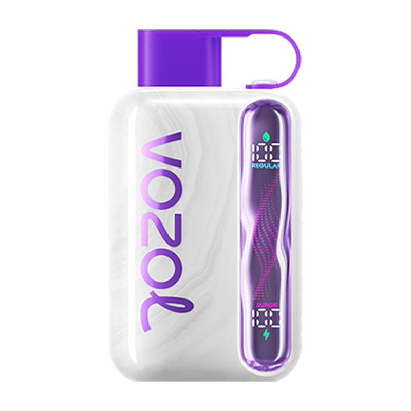 VOZOL Star 40000 Puffs Disposable Vape