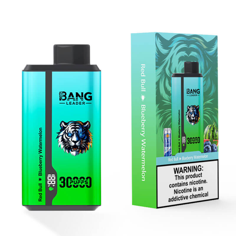 Bang Leader 30000 Dual Flavors Disposable Vape