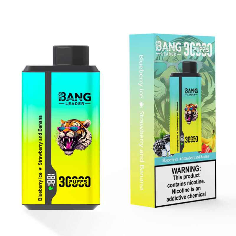 Bang Leader 30000 Dual Flavors Disposable Vape