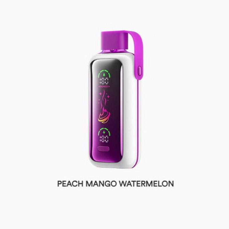VOZOL Star 20000 Puffs monouso Vape